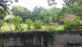 10 katha plot for sell  patliputra area in patna