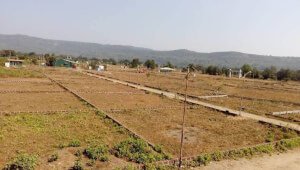 Sale Plot in Patut 