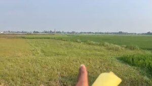 Residential plot for sale